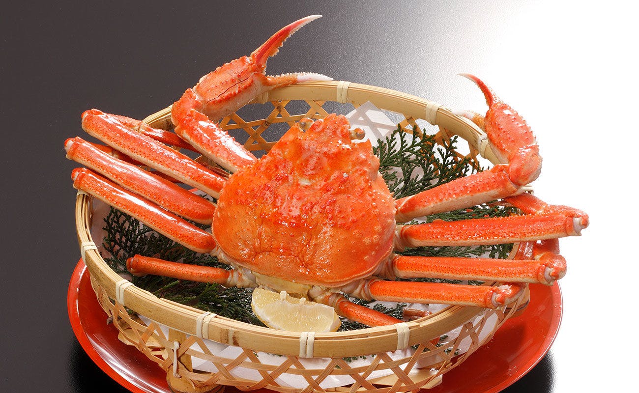 皆生松月