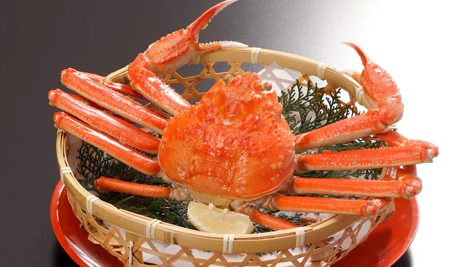 Kaike Shogetsu