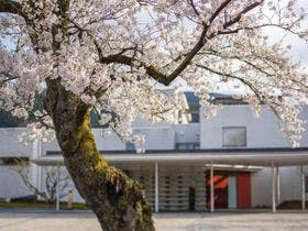 リバーリトリート 雅樂倶 （がらく）