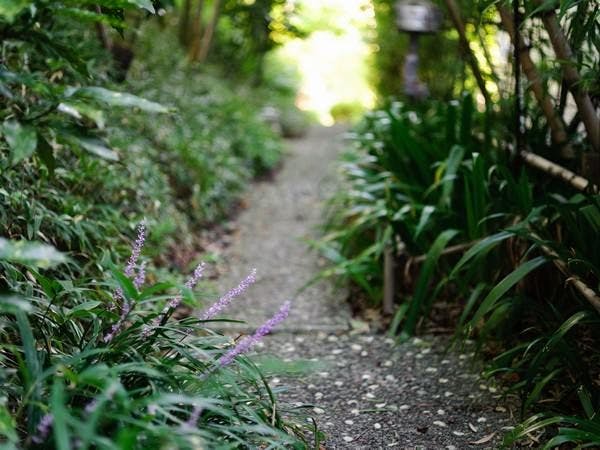 リバーリトリート雅樂倶