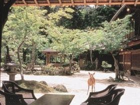 みやじまの宿　岩惣 2枚目