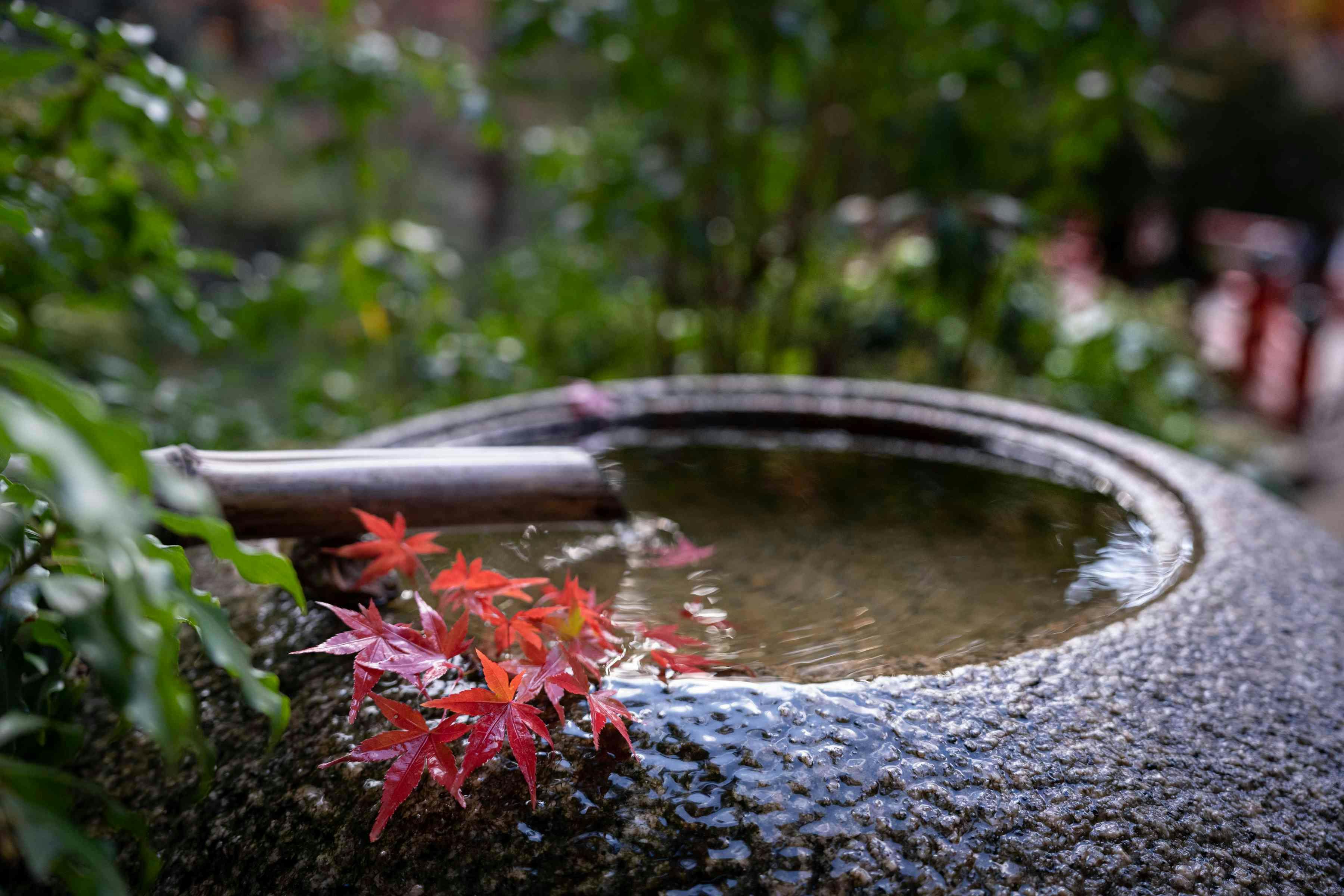 みやじまの宿 岩惣