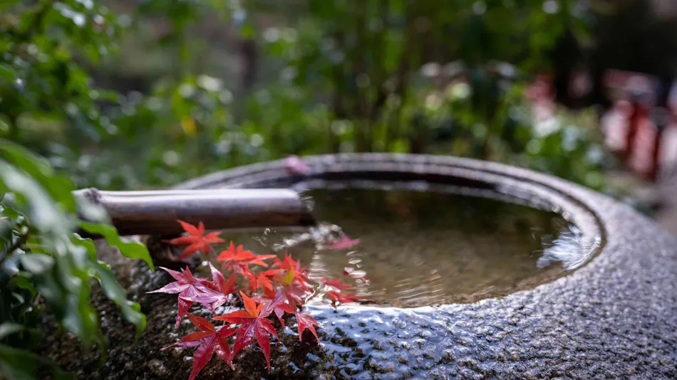 Iwaso Inn, Miyajima