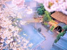湯村温泉　朝野家