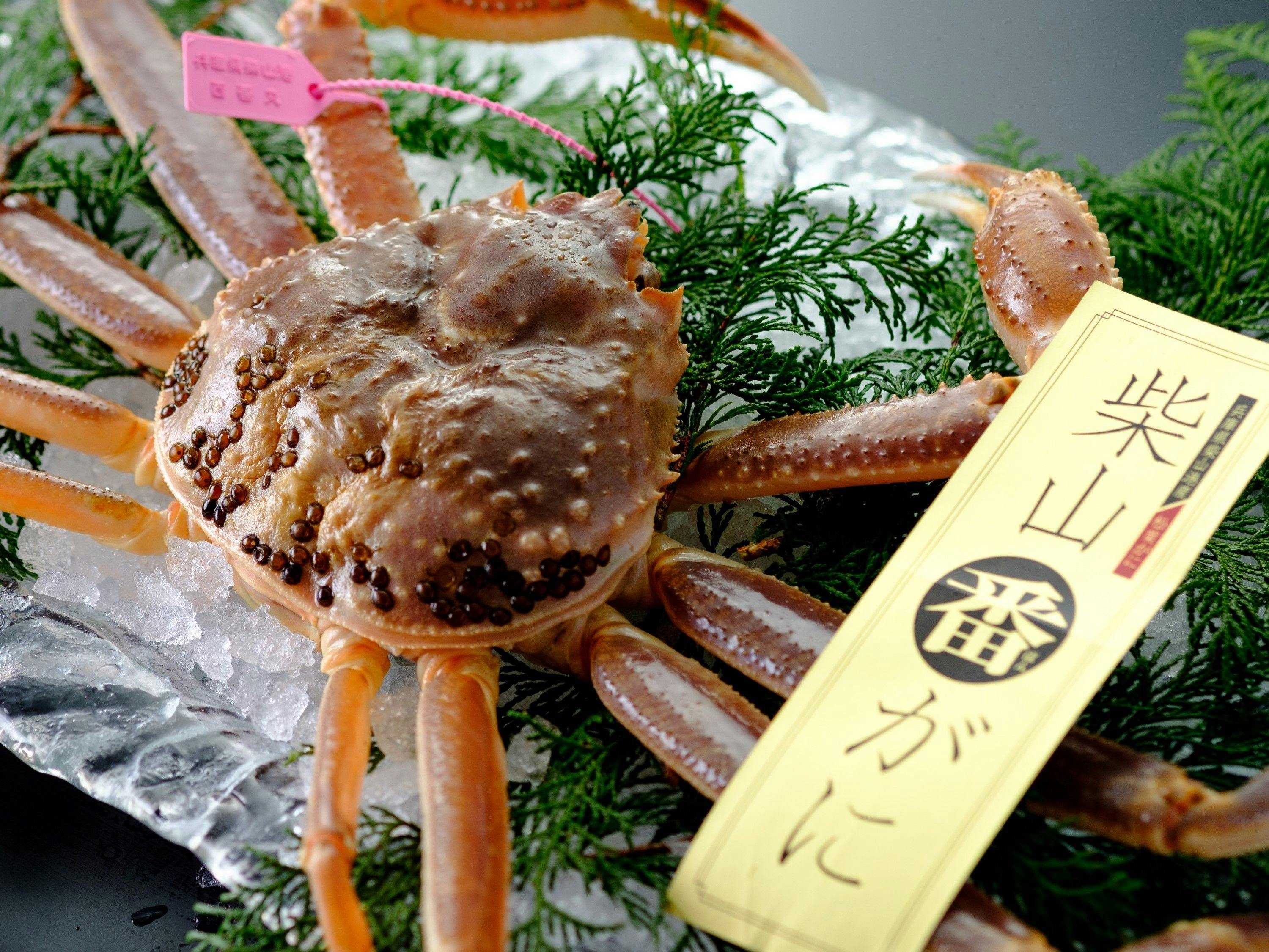 湯村温泉　朝野家