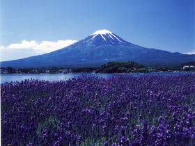 風のテラスKUKUNA（ククナ） 3枚目