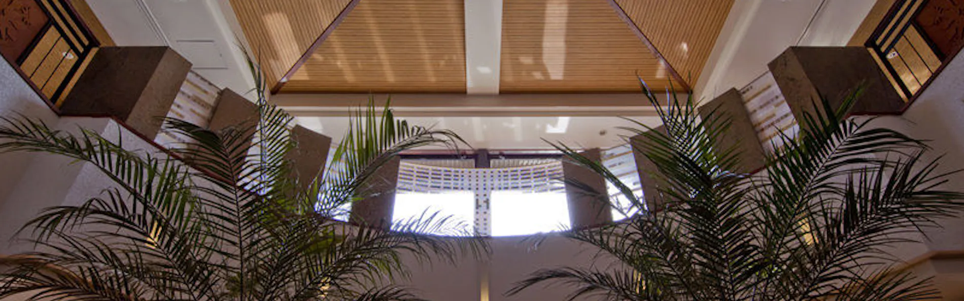 THE KUKUNA