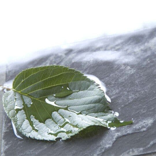 전용 욕실에서 느긋한 목욕 시간 (이미지)