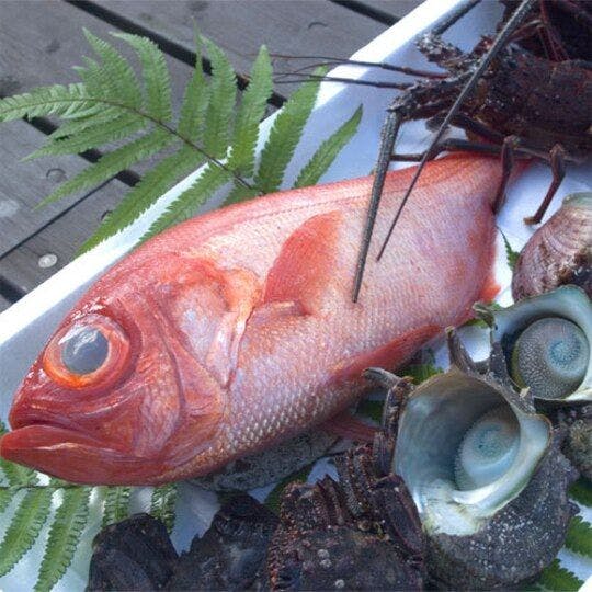 특별한 신선 재료의 예