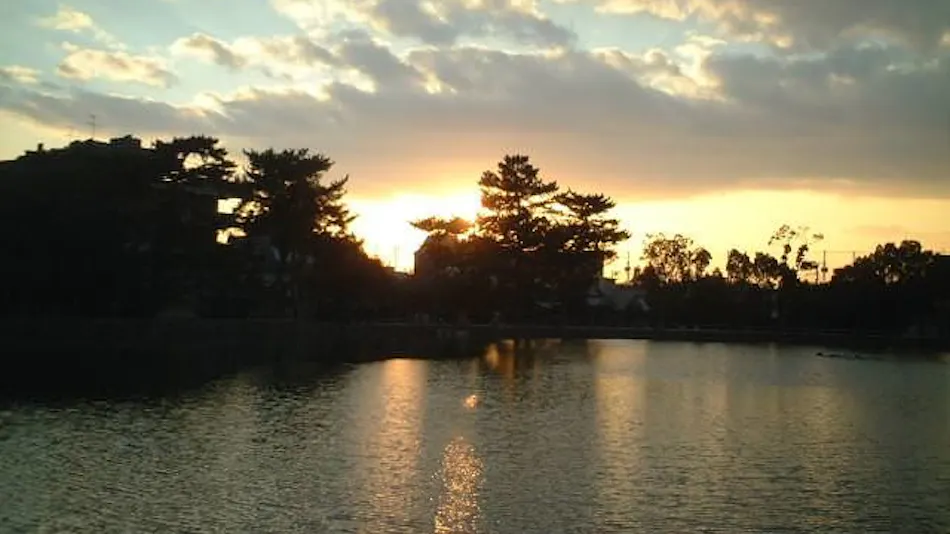Sarusawa Pond Yoshidaya