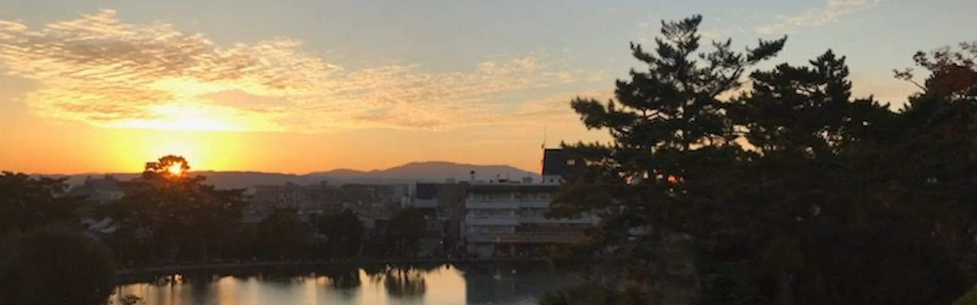 さるさわ池 よしだや