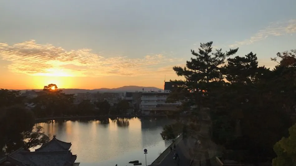 Sarusawa Pond Yoshidaya