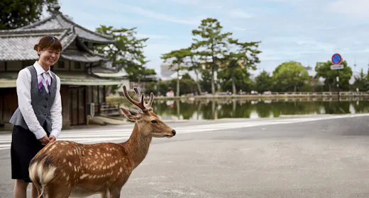 【鹿さん応援プロジェクト】SAVE THE DEER<鹿の子模様の風呂敷付き>/2食付