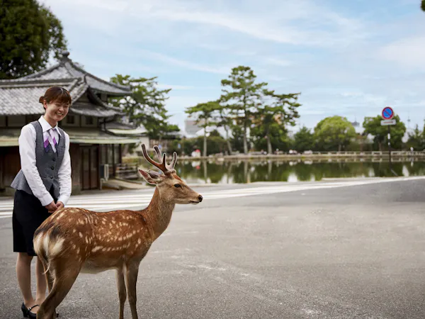 【鹿さん応援プロジェクト】SAVE THE DEER<鹿の子模様の風呂敷付き>/2食付