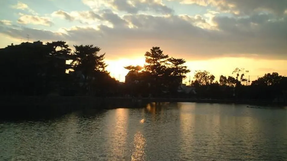 Sarusawa Pond Yoshidaya