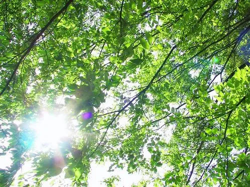 新緑の自然に包まれる