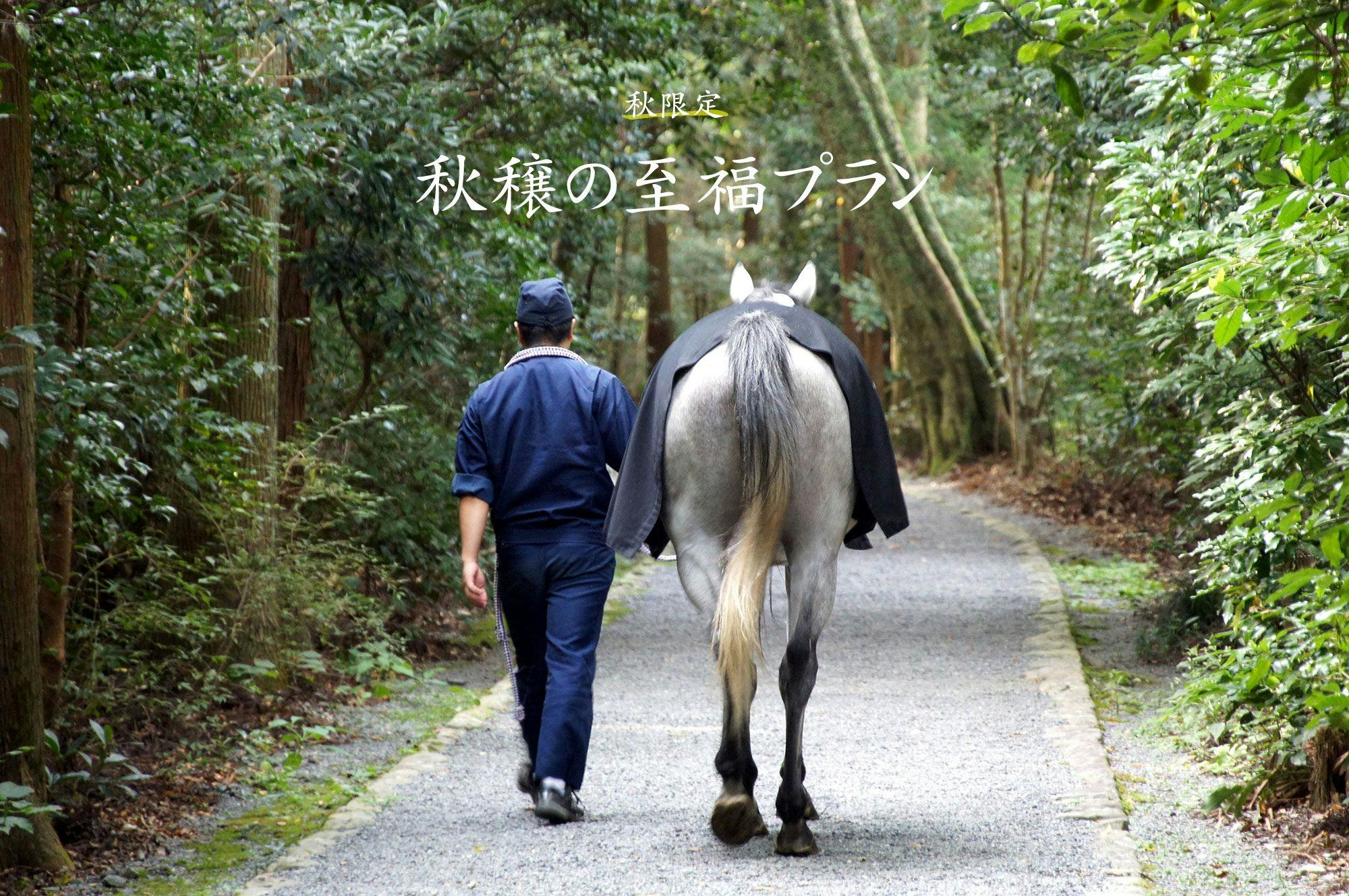 汀渚　ばさら邸