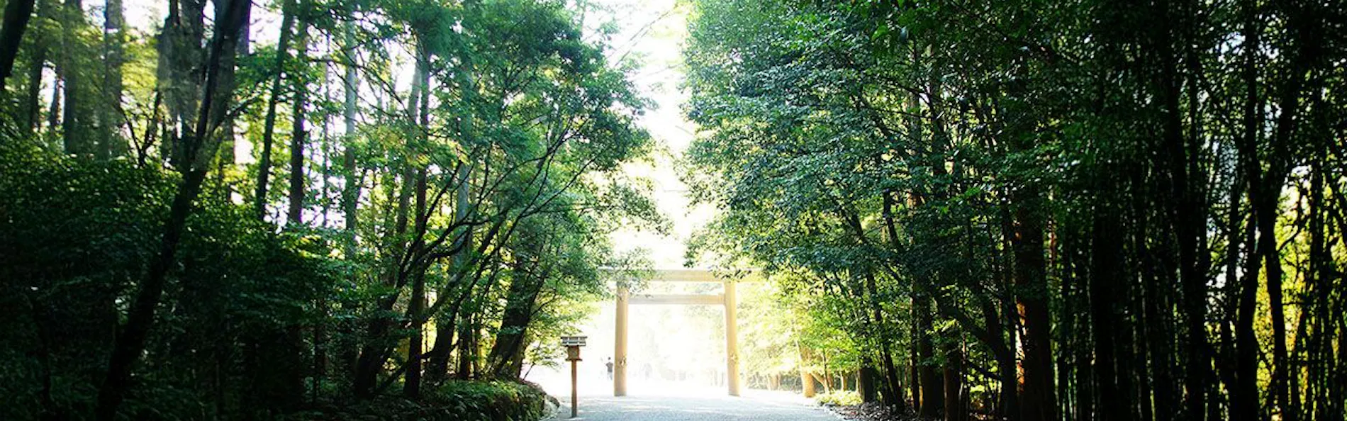 汀渚 ばさら邸