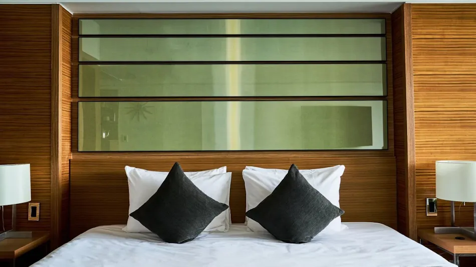 SCAPES THE SUITE