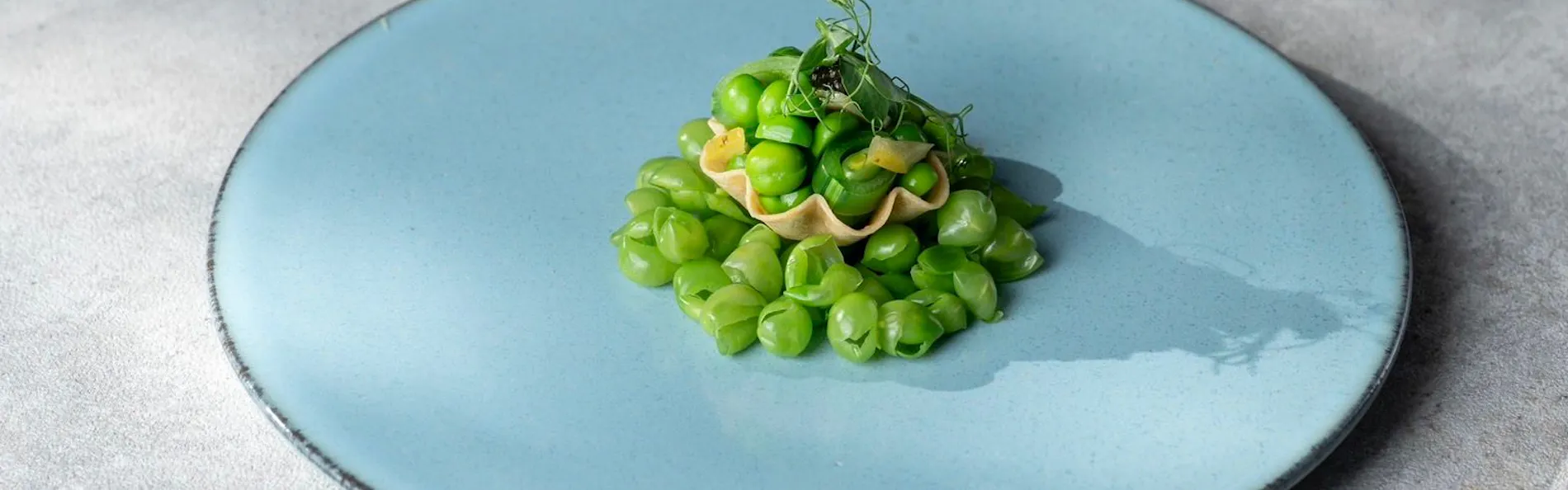 SCAPES THE SUITE