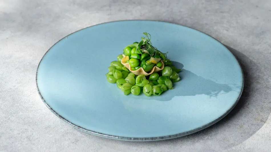 SCAPES THE SUITE