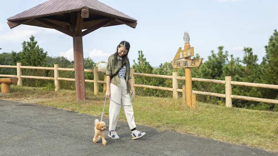 Hotel Laforet Shuzenji