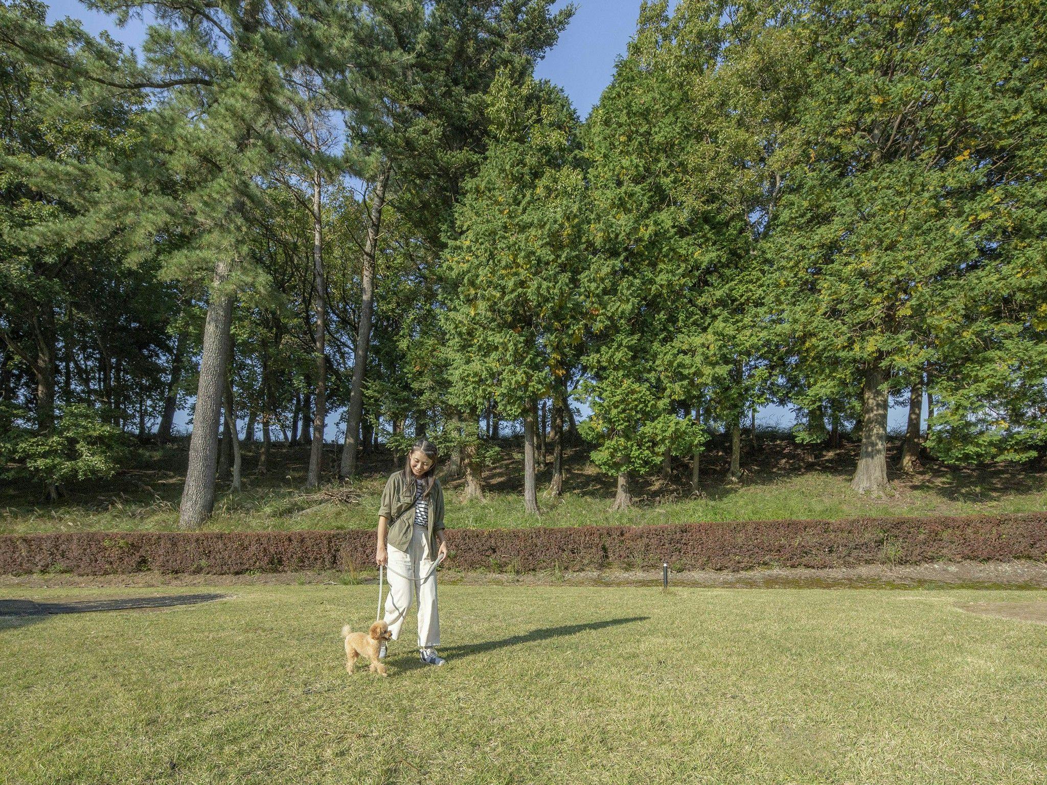 ホテルラフォーレ修善寺