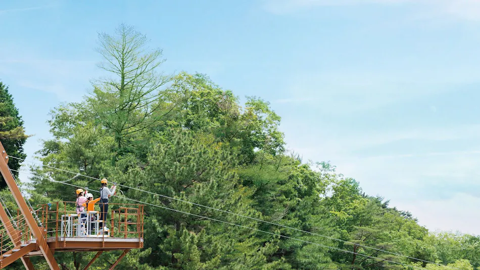 Hotel Laforet Shuzenji