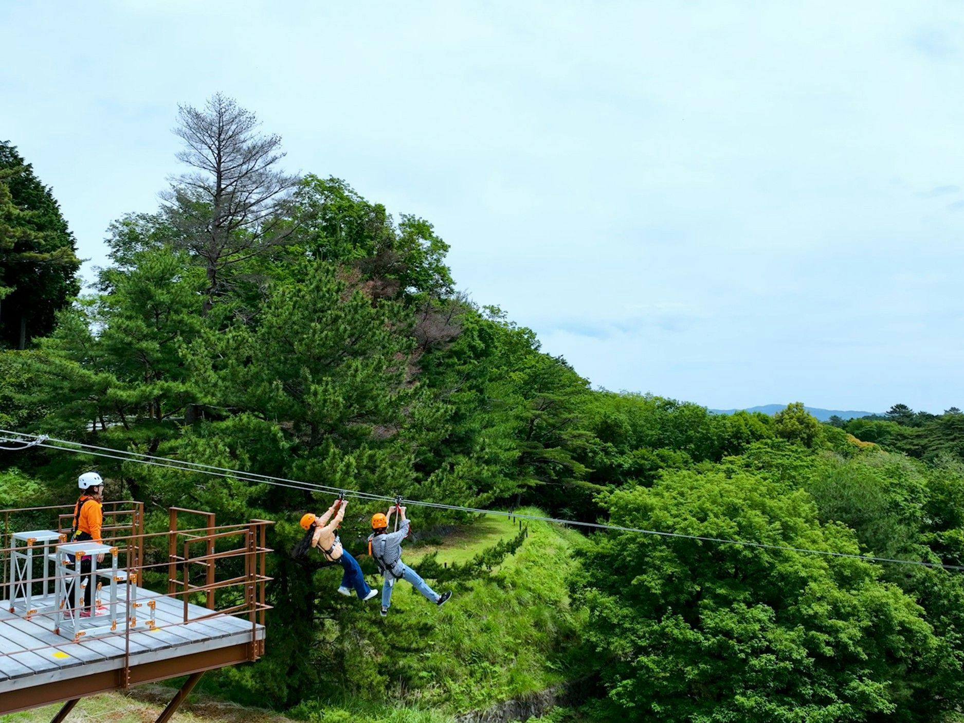 Zipline_ZIPShuzenZIP