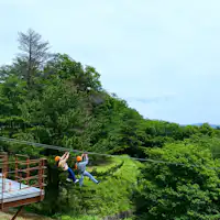 Zipline_ZIPShuzenZIP