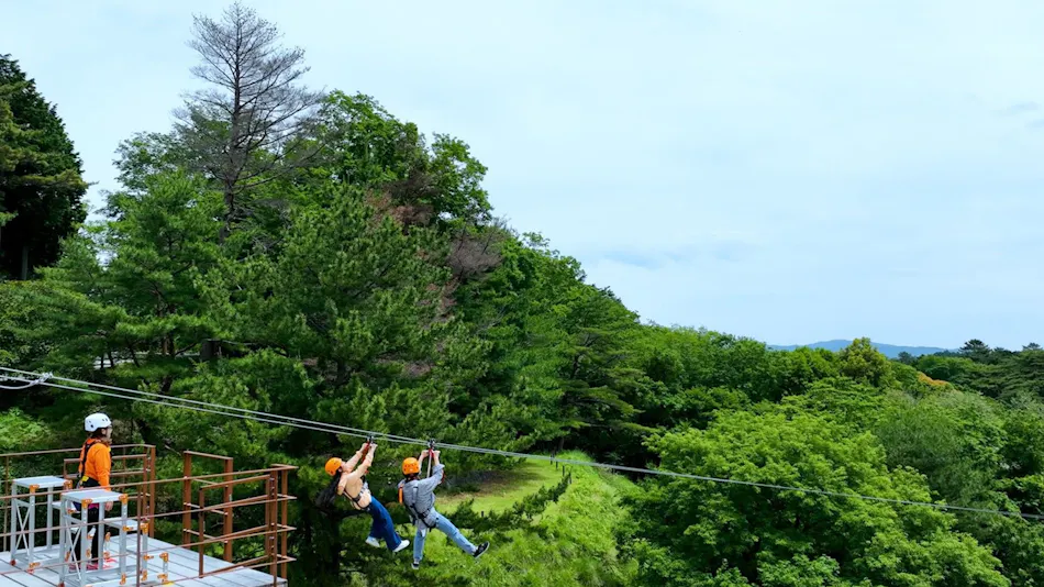 Hotel Laforet Shuzenji