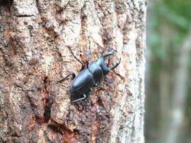 ホテルラフォーレ修善寺
