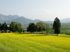 村のホテル住吉屋