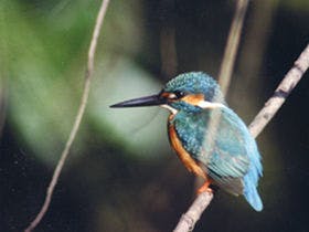 はなれの宿 千の森