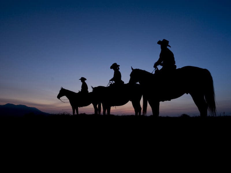 ＜夜の乗馬体験＞