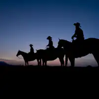 <夜の乗馬体験>