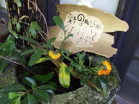 はなれの宿 千の森