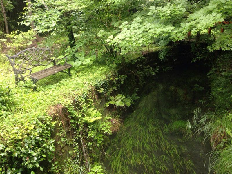 はなれの宿　千の森