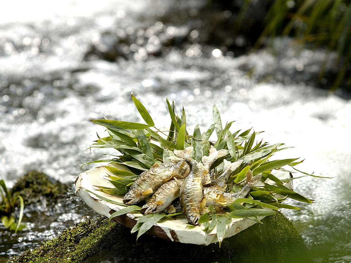 京都 湯の花温泉 すみや亀峰菴