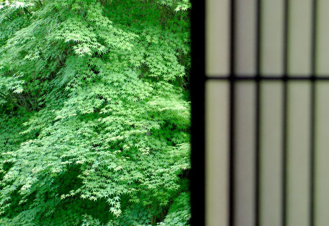 京都 湯の花温泉 すみや亀峰菴
