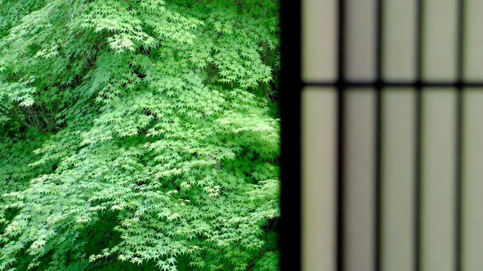 Kyoto Yunohana Onsen Sumiya Kiho-an