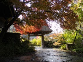 すみや亀峰菴