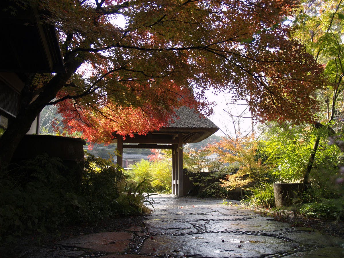 京都 湯の花温泉 すみや亀峰菴