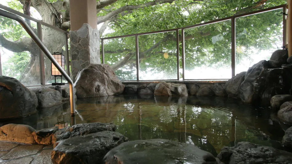 Inn with Private Open-Air Bath Rooms - Okuine Onsen Aburaya Annex Watei