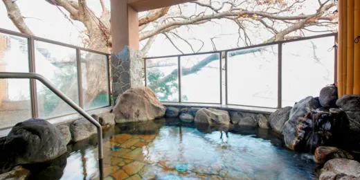 客室露天風呂の宿 奥伊根温泉 油屋別館 和亭