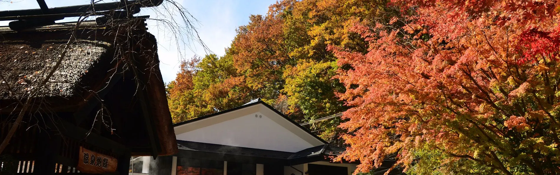 黒川温泉 旅館 奥の湯