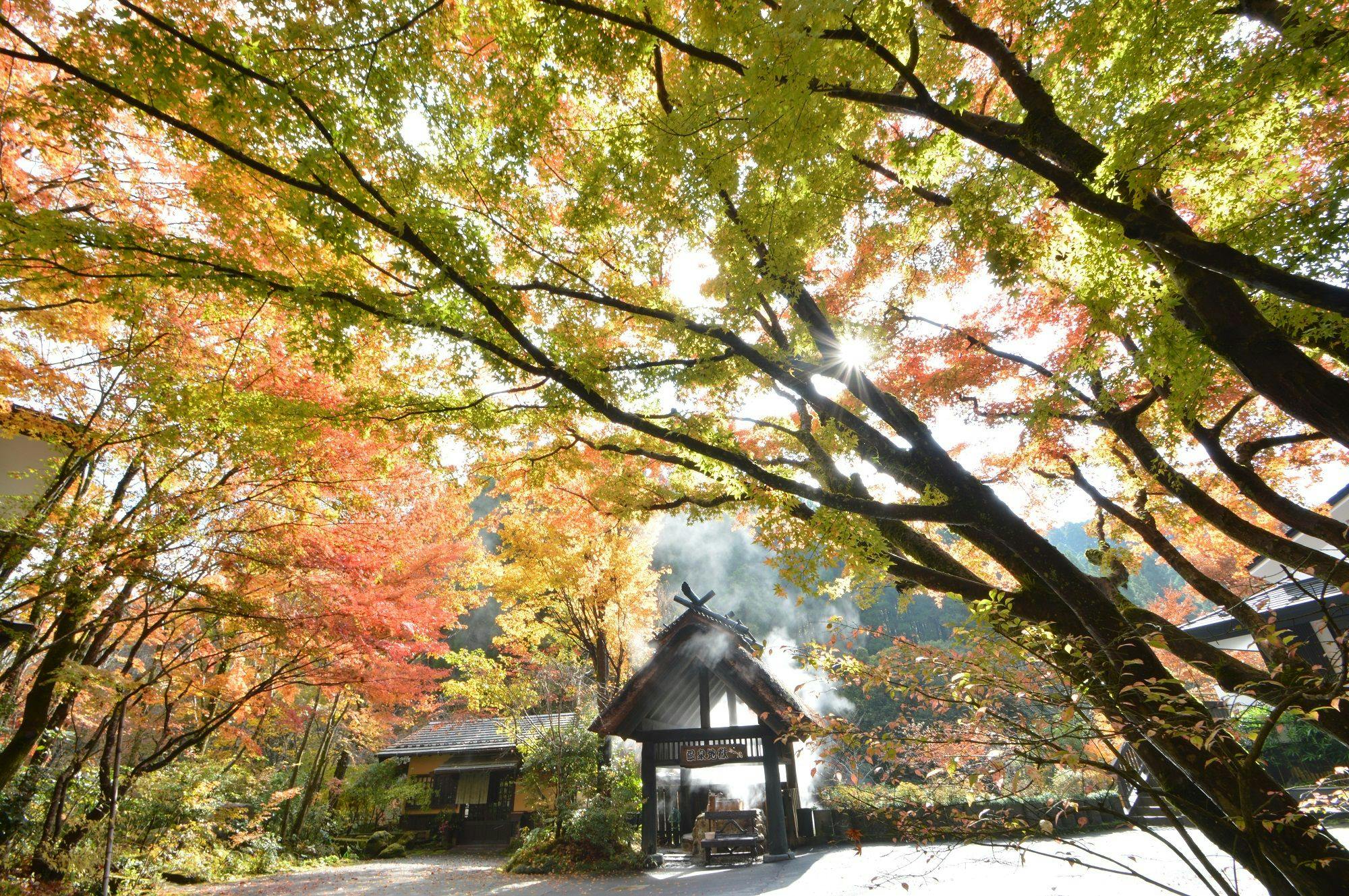 黒川温泉　旅館　奥の湯