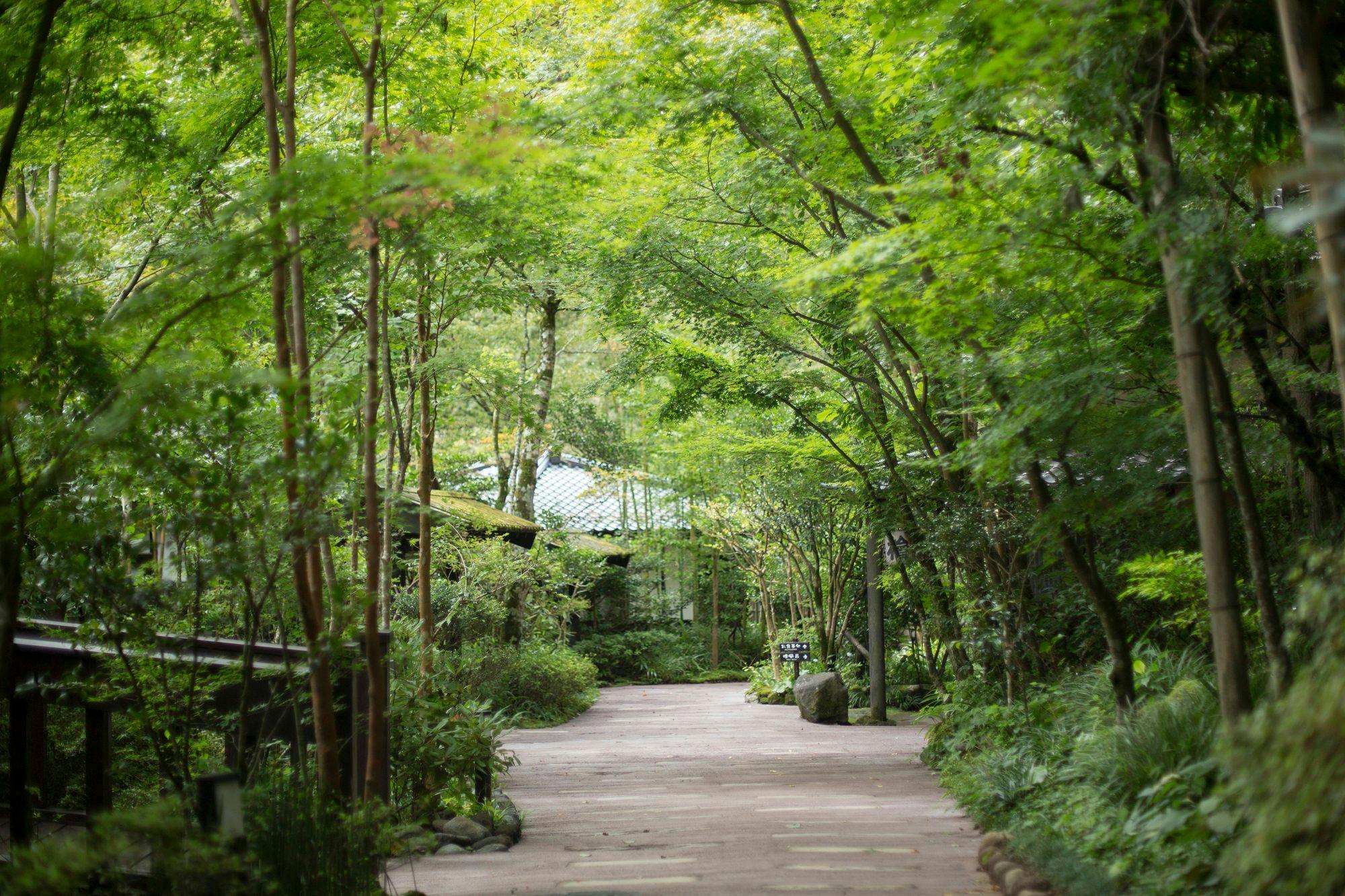 黒川温泉　旅館　奥の湯