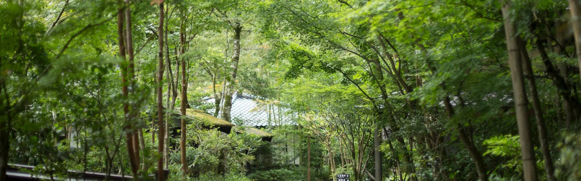 黒川温泉 旅館 奥の湯