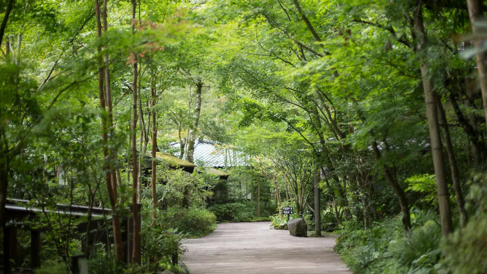 Kurokawa Onsen Ryokan Okunoyu
